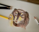 ペットの似顔絵描きます アナログでペットの似顔絵を描きます。 イメージ3