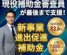 新事業進出促進補助金第4回の申請書を作ります ～現役で補助金審査員を務める中小企業診断士による支援です～ イメージ1