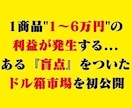1商品1〜6万円の利益が出るドル箱市場教えます 先着10名様限定で15,000円▶︎5,000円で販売中！ イメージ1