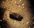 終わる？続く？あの人との関係に答えを出します 曖昧な関係の苦しみに終止符を。この恋は今後どう動く？ イメージ10