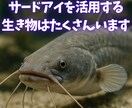 60分のレッスンで、あなたのサードアイを覚醒します あなたに眠る”見えない眼”が、人生の羅針盤になる奇跡の60分 イメージ8