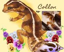 リアル調全身でペット/動物をイラストにします イラスト完成までのメイキング動画もプレゼント！ イメージ2