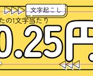 文字単価0.25円で文字起こし・データ入力行います 単価がめちゃくちゃ安いです！おすすめ！ イメージ1