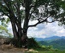 数秘術やカードを使って開運カウンセリングをします 産土神社を調べたお客様専用のサービスです イメージ2