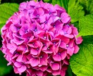 画像編集、風景写真を、日常系を取り扱ってます より美しく、より綺麗なものを追求します。 イメージ2
