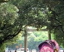 写真、イラストの加工出来ます 写真、イラストの異次元空間を見てみませんか? イメージ2