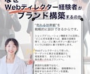 Shopee店舗をリブランディングします 価格競争から脱却し客単価を上げるブランド構築を支援 イメージ3