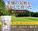 Amazon商品画像作成します 細部にこだわり商品の良さを引き立て魅せる画像をつくります！ イメージ5