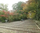 風景、観光地、メニューなどを撮影しいます 撮影場所に行った気持ちになろう イメージ5