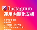 インスタアカウント運用の内製化を支援します 他社にアカウント運用を丸投げするのはやめませんか？ イメージ1