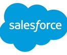 Salesforceの設定・開発の相談にのります 上級アドミニストレーターが対応します！ イメージ1