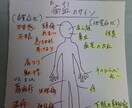 東洋医学思想であなたの不調を調べます 病院に行くほどではないけど…なアナタを笑顔に イメージ2