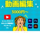 Youtube、各種SNS動画編集いたします ¥3000〜丁寧にご対応いたします！ イメージ1