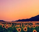 こんな事相談できないあなたの心受け止めます パートナーからの攻撃、感情が辛い方何でもお話聞かせて下さい イメージ8