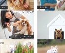 ペライチで素敵なホームページを作ります ご満足していただけるように作ります。 イメージ4