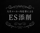 大手メーカー内定者がES添削します 忙しい就職活動、ES作成に時間をとられすぎていませんか？ イメージ1