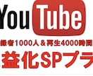 登録者1000人再生回数5000回にします あなたのYouTubeを収益化に導きます イメージ1