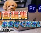 YouTube動画編集代行します 時間がないけど動画を定期的に投稿したいあなたへ… イメージ1