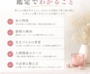頑張ってるのに苦しい理由を読み解きます 【私がおかしい】を終わらせる鑑定をします イメージ3