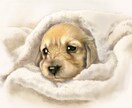ペット肖像画A3【犬・猫胸から上】をお描きします ご満足いただけるまで修正無制限。心を込めてお描きいたします。 イメージ8