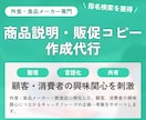 消費者・顧客の興味関心を刺激するコピーを作成します 食品・外食専門｜猫の手も借りたいときの文言作成 イメージ1