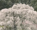 あなたの辛い気持ち詩にして届けます 今の気持ち言葉にしてみませんか？ イメージ2