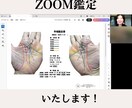 手相鑑定し、自分を取戻せるよう対話します お悩み解決し、いきいきした日々を！ イメージ2