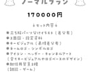 全3プラン！Vtuberデビューセットを作成します 商用利用無料！活動に必要なものが通常よりお安く揃います！ イメージ9