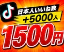 TikTok日本人いいね数+5,000増やします ⭐️様々なSNSと要望に対応しております⭐️ イメージ1