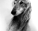 ペットの写真で水墨画を描きます 愛犬、愛猫の写真を水墨画で個性的なアート作品に仕上げます！ イメージ1
