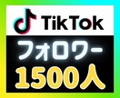 TikTokフォロワーを拡散して増やします ⭐安心の自動補填つき⭐外国人フォロワー1500人増やします イメージ1