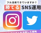 現役プロが勝てるSNS運用代行いたします 資格のあるオペレーターになるための教育 イメージ1
