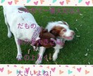子育て／幼児教育についてや先生方のお悩みに答えます プロの意見を聞いて問題解決！個性を伸ばす教育のお手伝い！ イメージ1