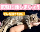 秘密厳守!何でも気軽に匿名で話せます すぐに返信が欲しい時ありますよね?私がします(*´꒳`*) イメージ1