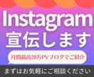 月間最高20万PVブログでインスタグラム紹介します ライター歴5年のプロがあなたのアカウントを丁寧に紹介＆拡散！ イメージ1