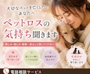 ペットロス、老犬・猫介護。あなた思いに寄り添います 看護師が寂しさ・後悔・涙を否定せず受け止めます イメージ1