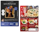チラシ・フライヤーデザインをプロが制作します 大手企業も依頼する20年プロがチラシ・フライヤーを制作 イメージ6