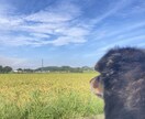 自然寄りの暮らしって実際どう？お話しします のんびり暮らしのリアル、お話しします イメージ5