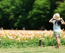 お子様の発達について不安な気持ちにに寄り添います 発達障害…グレーゾーン…？え…私達はどう接したらいいの？ イメージ1