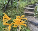悩みや愚痴を聞きいてほしい方よろしくお願いします 気分が下り坂の皆さんお話で元気だそう イメージ1