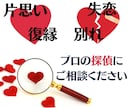年間1800件！プロの探偵がお相手の心理を暴きます 片想い・浮気・喧嘩・音信不通…どんなケースもプロが解決！ イメージ4