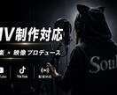 映画レベルAI動画制作します 世界観重視の映画クオリティ映像で差別化します イメージ7