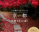バナー、ヘッダーを作成します 目を惹くデザインを提案します！ イメージ2