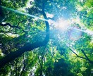 トラウマを苦なく取り除きます ベトナム帰還兵にも使われたNLPを応用したセラピーです。 イメージ2