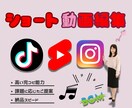 ショート動画編集のプロが制作します 高品質でスピード対応どんなジャンルもお任せください イメージ3