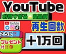 YouTube再生回数＋10000回増加拡散します プレゼント付き！！減少なし1万回プラス拡散★質のいいお得商品 イメージ1