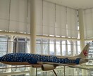 あなたが見たい沖縄の美しい風景を撮ります 例:○ビーチの夕日が見たい　等のご希望に応えます。 イメージ4