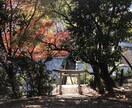 看護　就職・入試の小論文、面接相談を行います 安全•安心•的確•迅速な対応を致します。 イメージ1