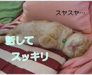 明日のことが不安で眠れない 心の声に寄り添います 頭のおしゃべりが止まらない 吐き出してグッスリ休もう☆彡 イメージ4