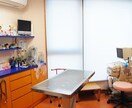 国公立獣医志望の受験生の相談に乗ります 現役国公立獣医学科生が親身になってアドバイスを送ります! イメージ1
